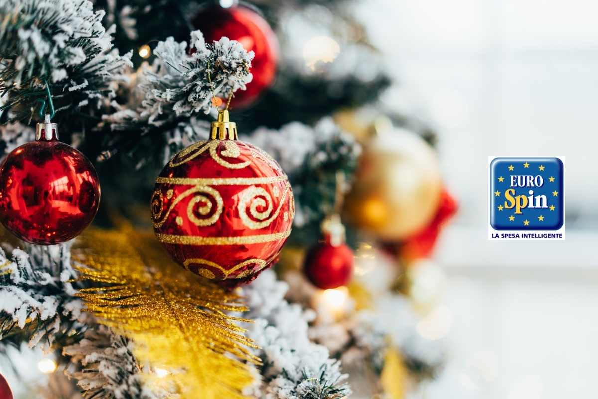 base albero natale eurospin