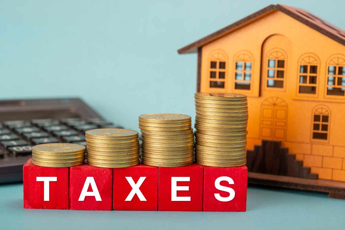 casetta monete cubi con scritto taxes e calcolatrice