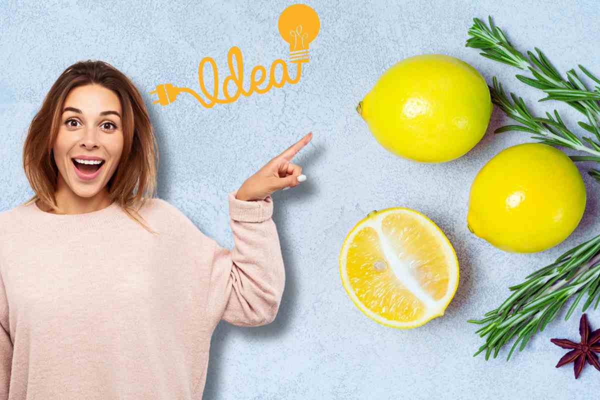 donna indica grafica idea limone e rosmarino